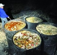 生活垃圾分類(lèi)知識(shí)“地溝油”最后都去了哪里呢？