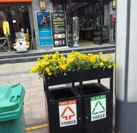 環(huán)衛(wèi)分類垃圾桶上栽花，成為城市風景線